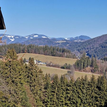 Natur- & Erlebnis Ferienhaus Voitsberg Exteriér fotografie