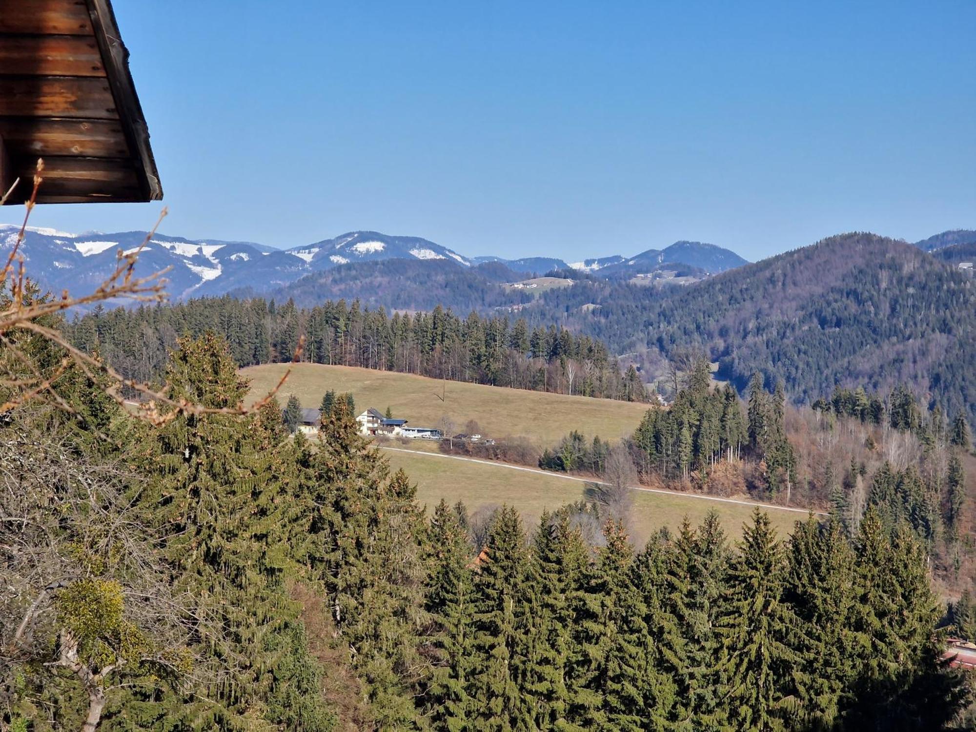 Natur- & Erlebnis Ferienhaus Voitsberg Exteriér fotografie
