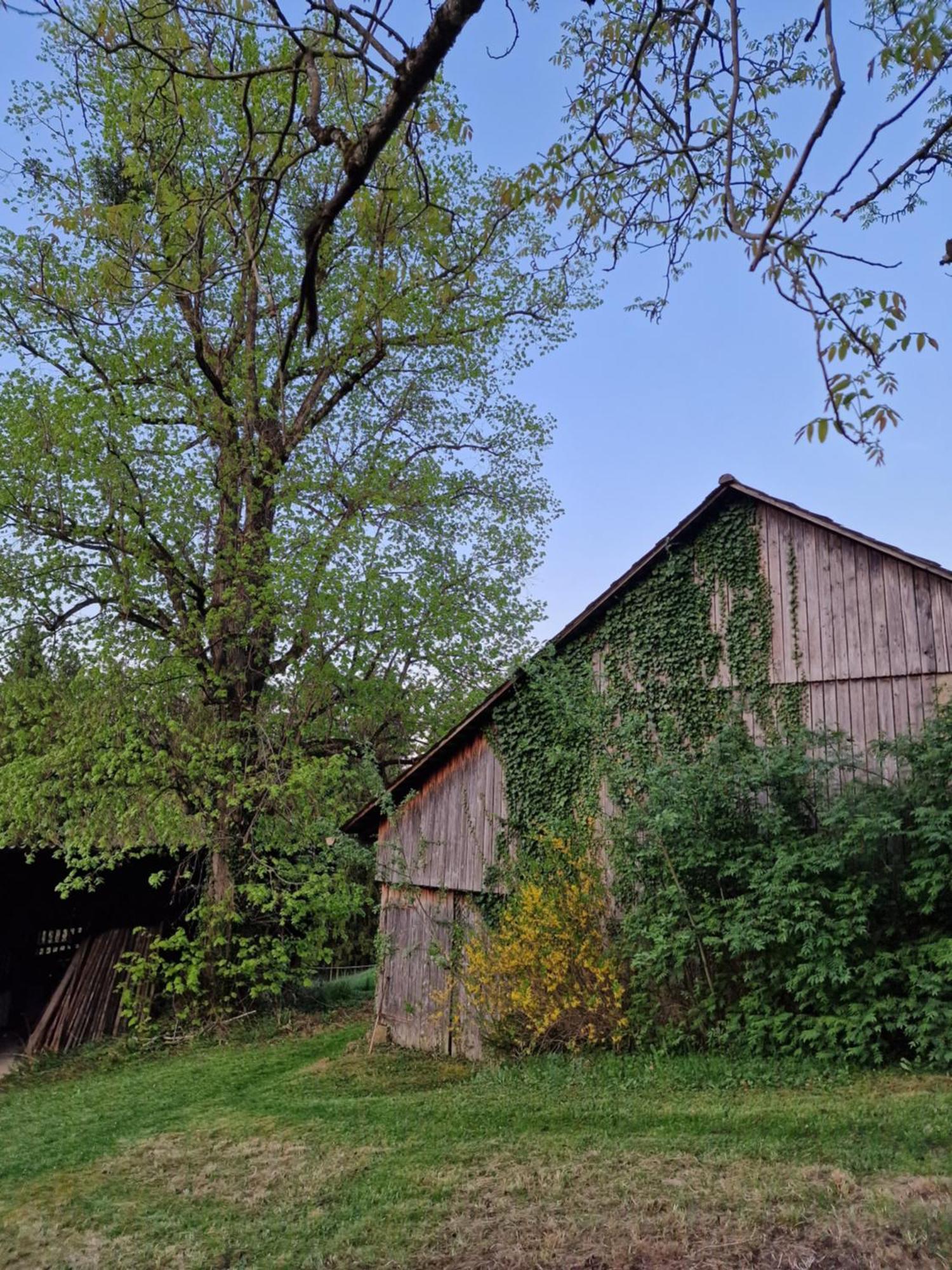 Natur- & Erlebnis Ferienhaus Voitsberg Exteriér fotografie